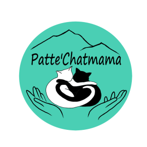 Association Patte'Chatmama